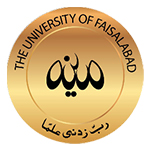 University of Faisalabad